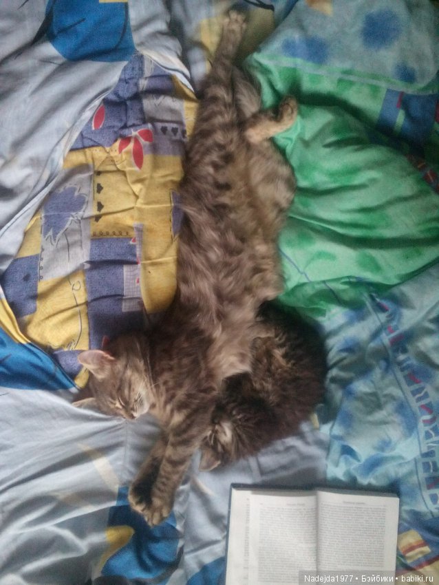 У Маши есть теперь Маша и не только