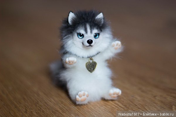 У Маши есть теперь Маша и не только