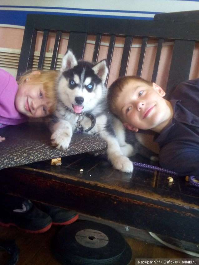 У Маши есть теперь Маша и не только