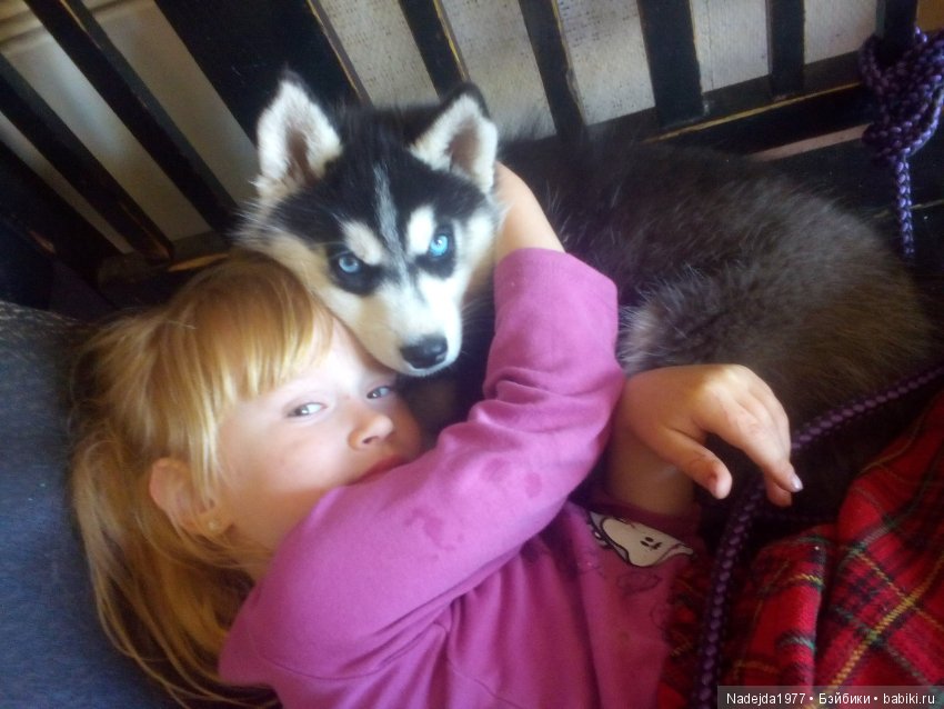 У Маши есть теперь Маша и не только