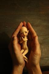 3D уменьшенная копия Mystery BJD by Nefer Kane (фото 5)