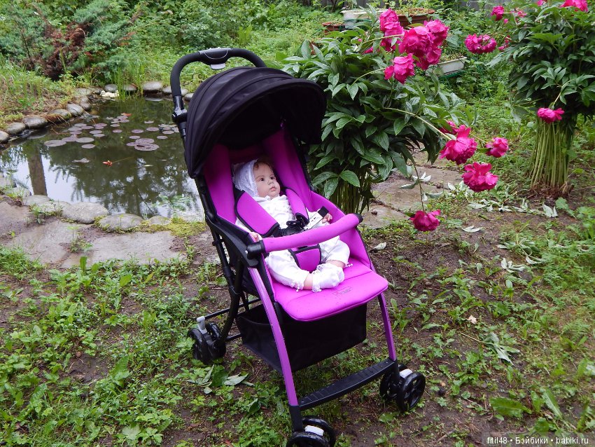 Прогулочная коляска Babytime - достоинства и недостатки (фото 8)