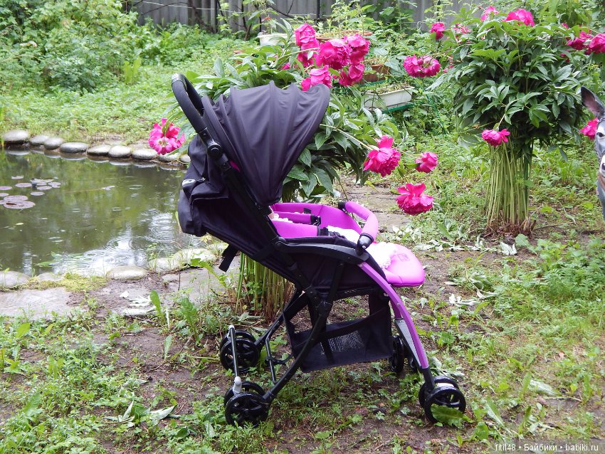 Прогулочная коляска Babytime - достоинства и недостатки