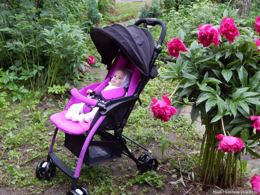 Прогулочная коляска Babytime - достоинства и недостатки (фото 10)