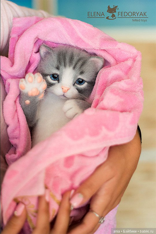 живые картинки котята живые картинки котята