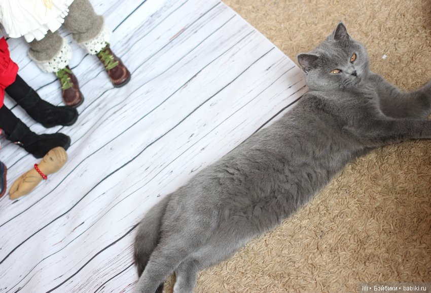 Моя группа постарше. Цверги