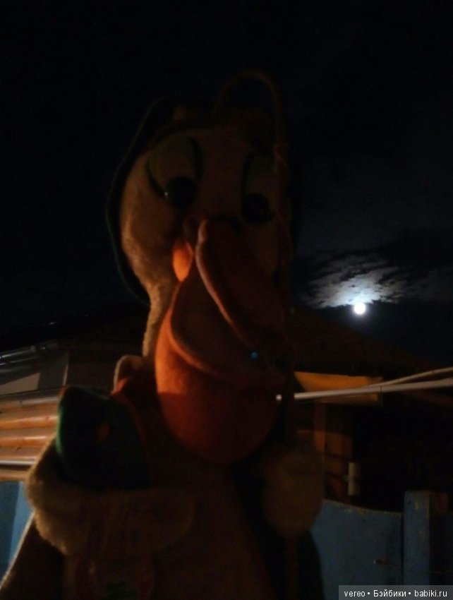 Хорош спать — Болталка и разговоры обо всем: жизнь (фото 2)