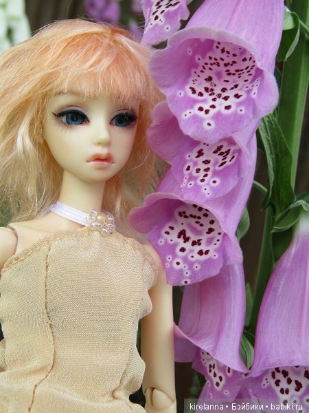 Фея лисьих рукавичек — Куклы Soom (Сум): BJD (БЖД) (фото 2)