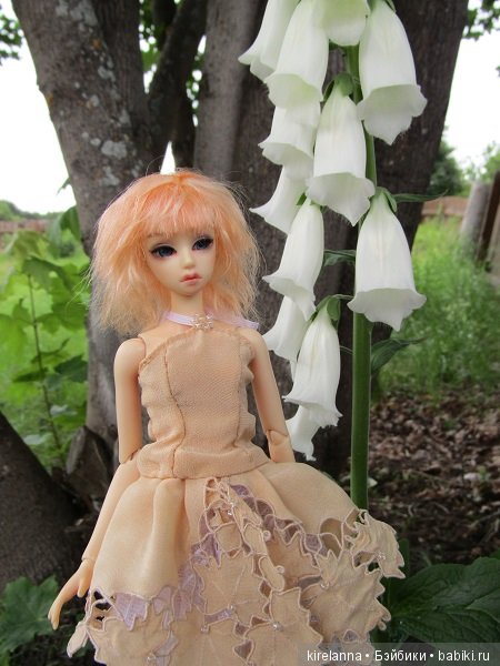 Фея лисьих рукавичек — Куклы Soom (Сум): BJD (БЖД) (фото 6)