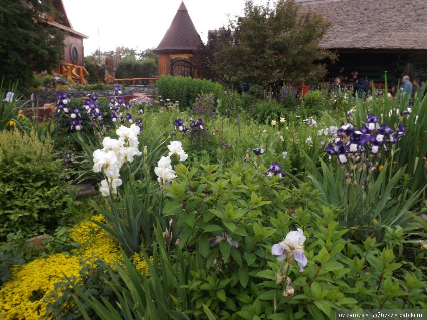 В гостях у бабы яги — Туризм и путешествия: фотоотчеты из поездок