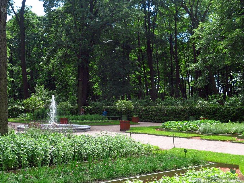 Прогулка по Летнему саду — Туризм и путешествия: фотоотчеты из поездок