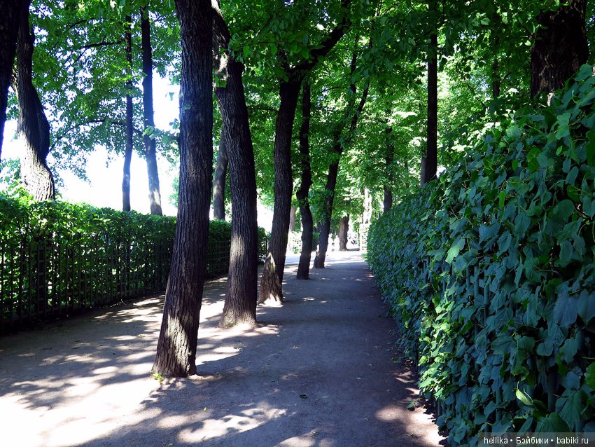 Прогулка по Летнему саду — Туризм и путешествия: фотоотчеты из поездок (фото 3)