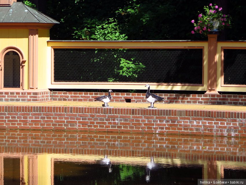 Прогулка по Летнему саду — Туризм и путешествия: фотоотчеты из поездок