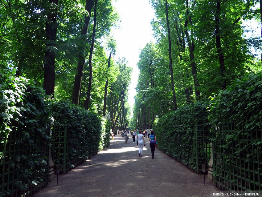 Прогулка по Летнему саду — Туризм и путешествия: фотоотчеты из поездок