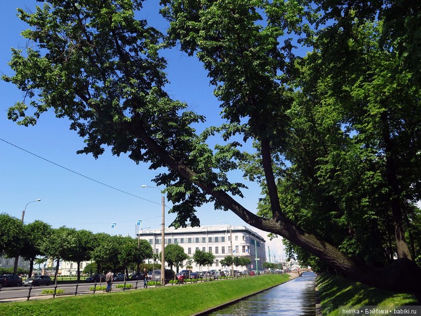 Прогулка по Летнему саду — Туризм и путешествия: фотоотчеты из поездок (фото 5)