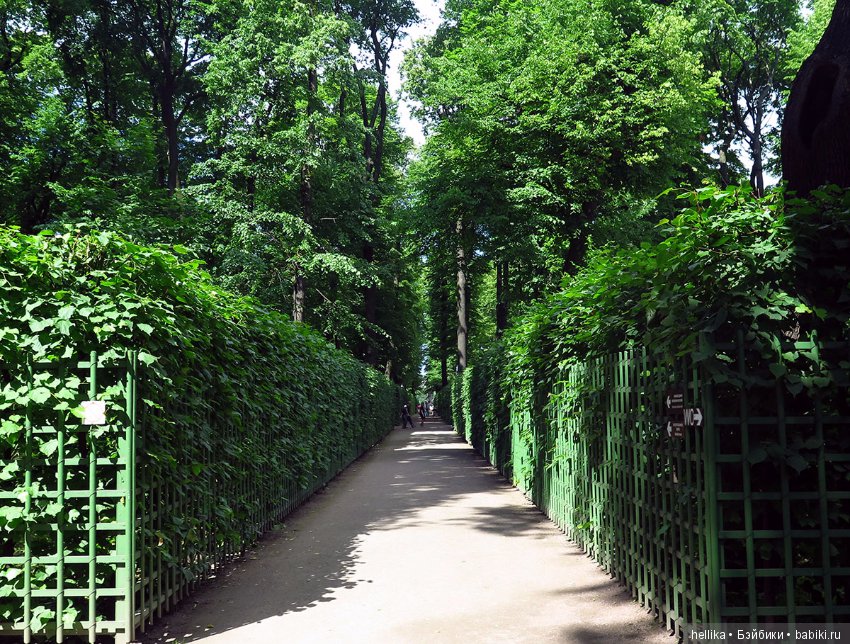 Прогулка по Летнему саду — Туризм и путешествия: фотоотчеты из поездок