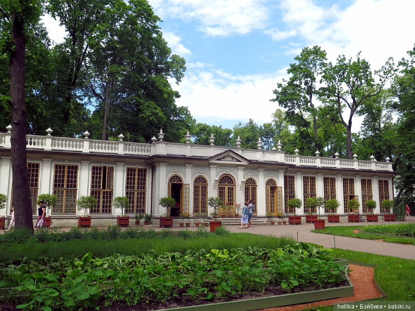 Прогулка по Летнему саду — Туризм и путешествия: фотоотчеты из поездок