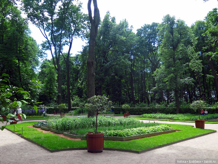 Прогулка по Летнему саду — Туризм и путешествия: фотоотчеты из поездок