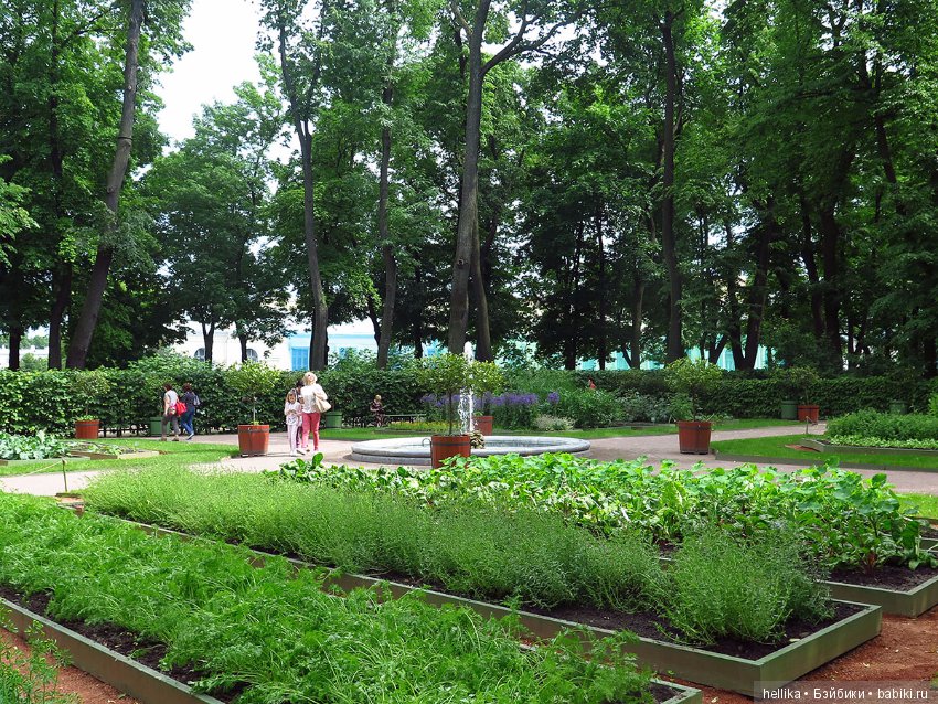 Прогулка по Летнему саду — Туризм и путешествия: фотоотчеты из поездок