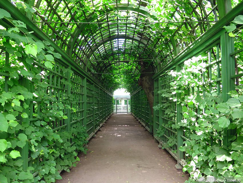 Прогулка по Летнему саду — Туризм и путешествия: фотоотчеты из поездок