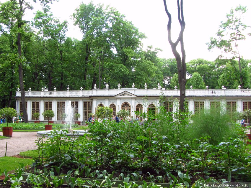Прогулка по Летнему саду — Туризм и путешествия: фотоотчеты из поездок