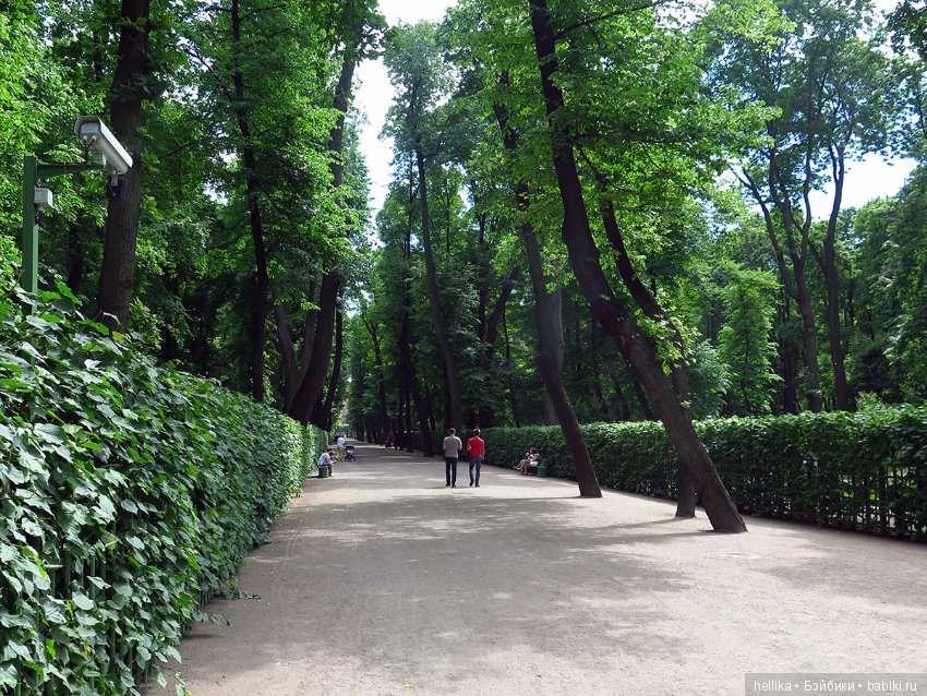 Прогулка по Летнему саду — Туризм и путешествия: фотоотчеты из поездок