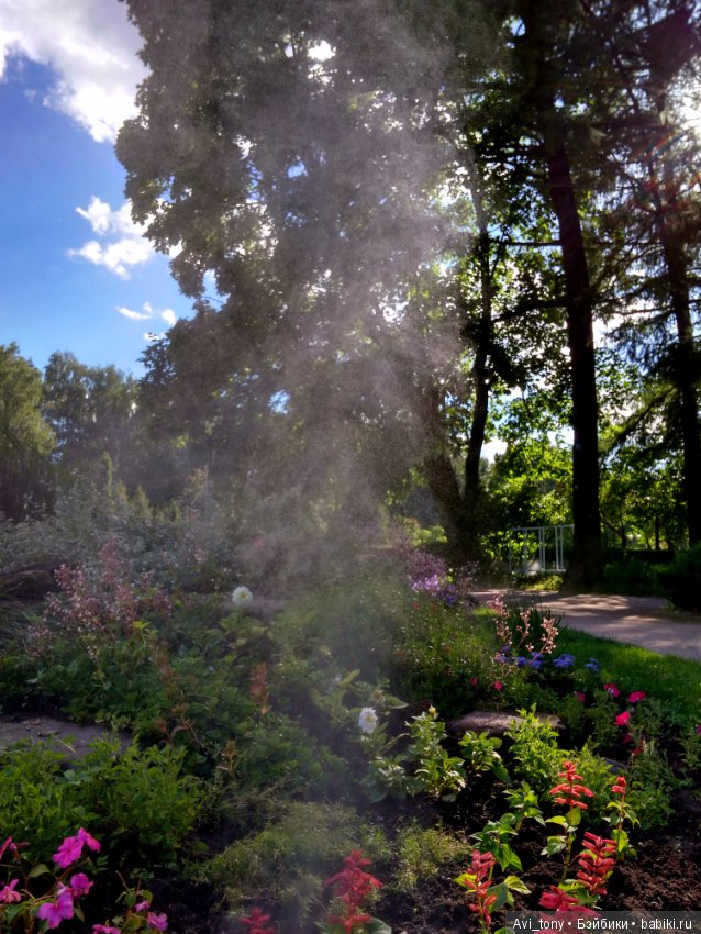 Летний день в Розарии. BJD 5stardoll (фото 5)