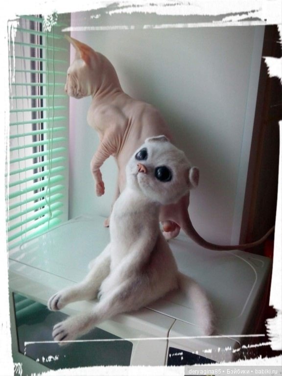 Вислоухий котик — Валяные игрушки из шерсти: сухое валяние (фото 3)