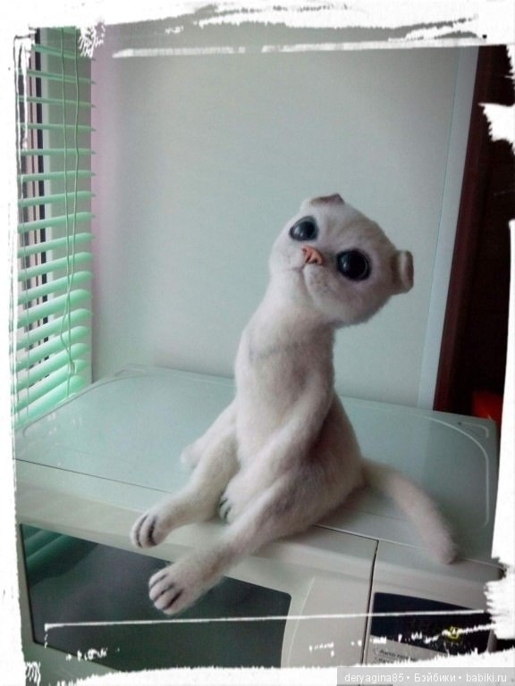 Вислоухий котик — Валяные игрушки из шерсти: сухое валяние