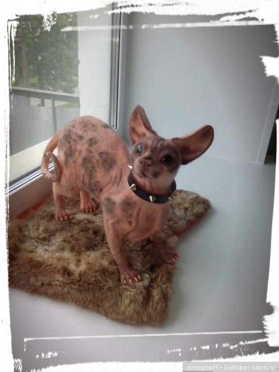 Мои сфинксы — Валяные игрушки из шерсти: сухое валяние (фото 6)