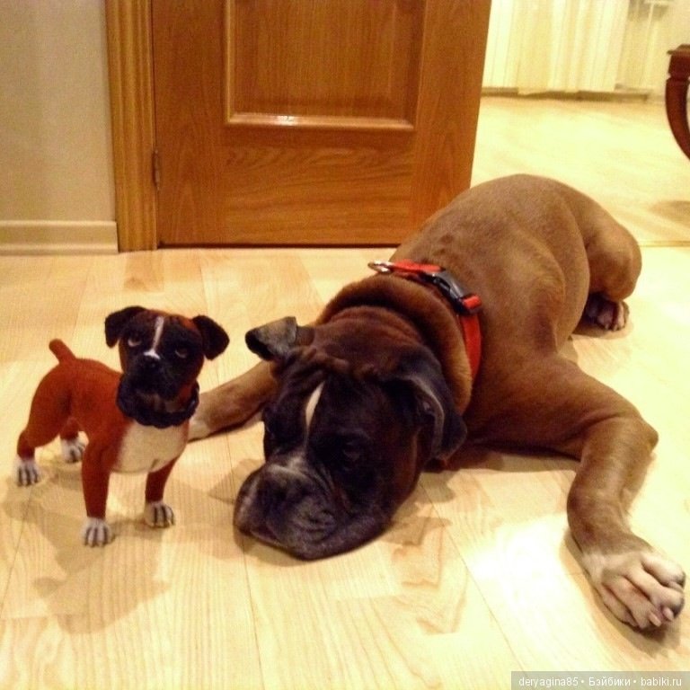 Мои работы с довольными покупателями