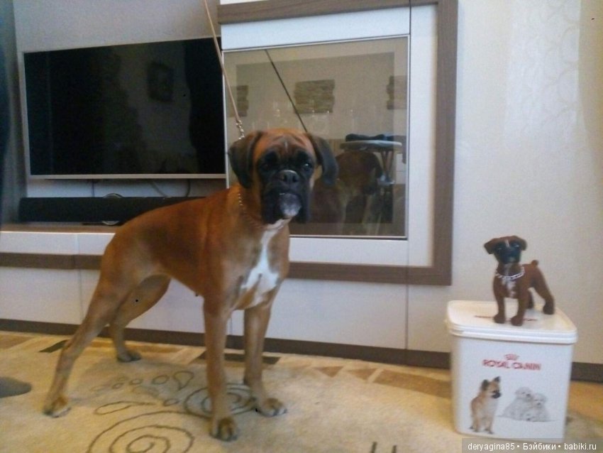 Мои работы с довольными покупателями