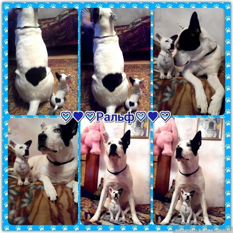 Мои работы с довольными покупателями