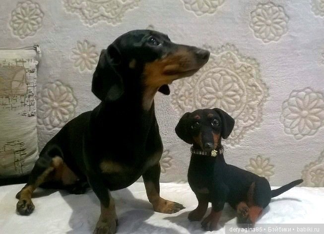 Мои работы с довольными покупателями