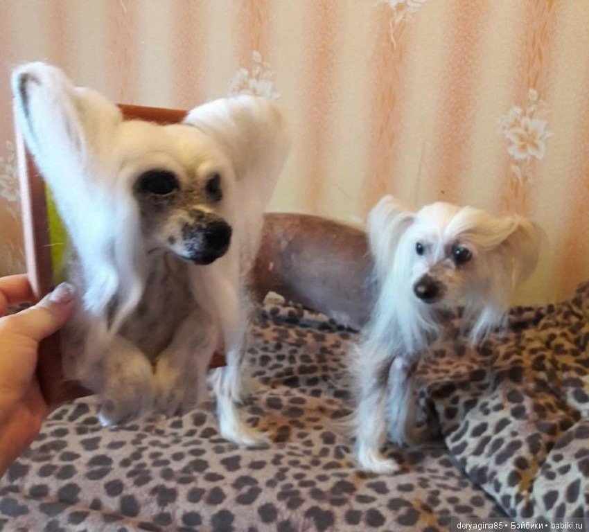 Мои работы с довольными покупателями (фото 6)