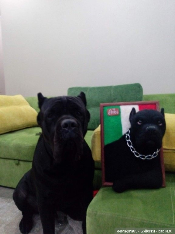 Мои работы с довольными покупателями