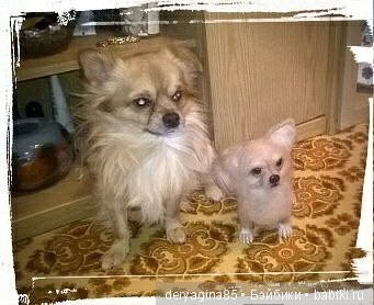 Мои работы с довольными покупателями