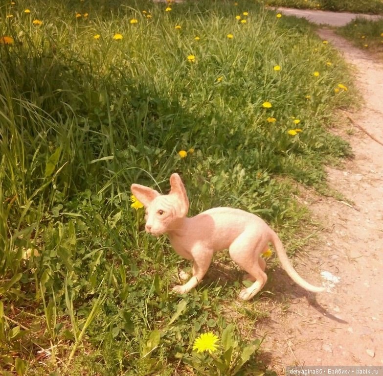 Мои первые сфинксы — Валяные игрушки из шерсти: сухое валяние (фото 7)