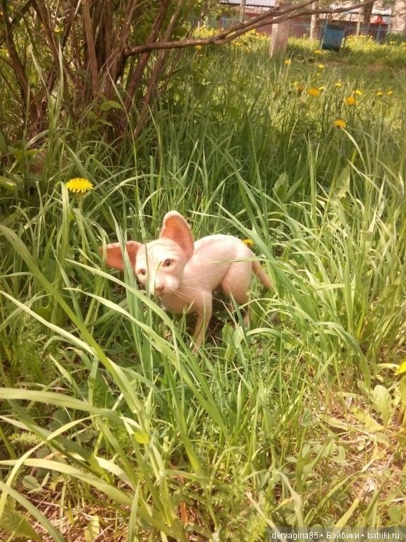 Мои первые сфинксы — Валяные игрушки из шерсти: сухое валяние (фото 9)