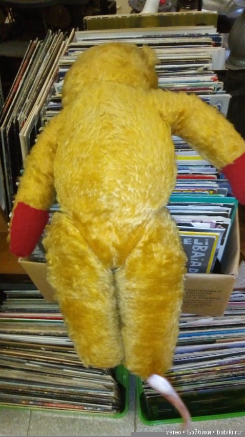 Нужен ли он в России — Болталка и разговоры обо всем: жизнь (фото 6)