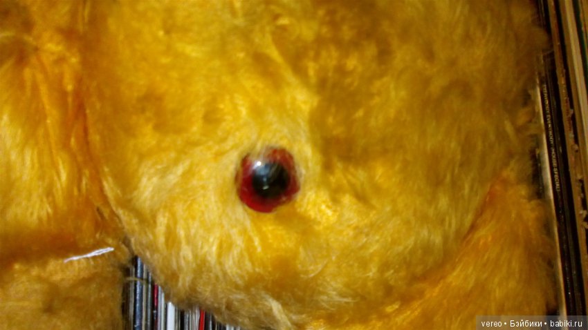 Нужен ли он в России — Болталка и разговоры обо всем: жизнь (фото 10)