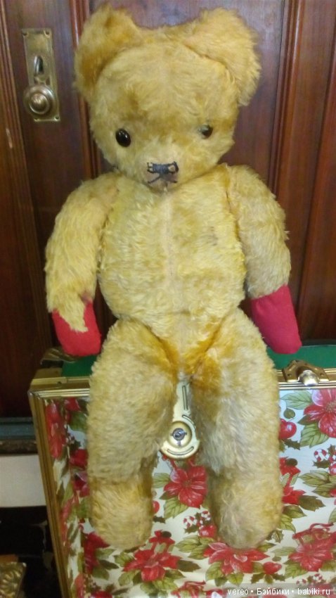 Нужен ли он в России — Болталка и разговоры обо всем: жизнь (фото 4)