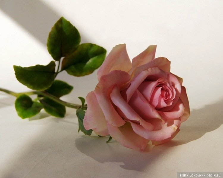 Рукотворная красота. Цветы из холодного фарфора