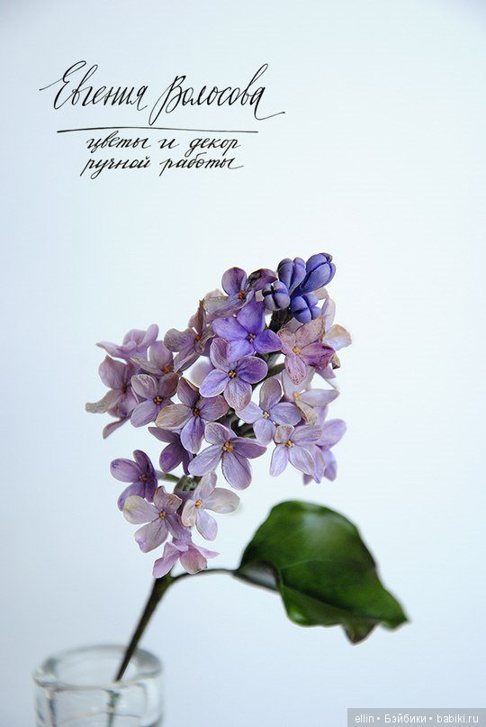 Рукотворная красота. Цветы из холодного фарфора