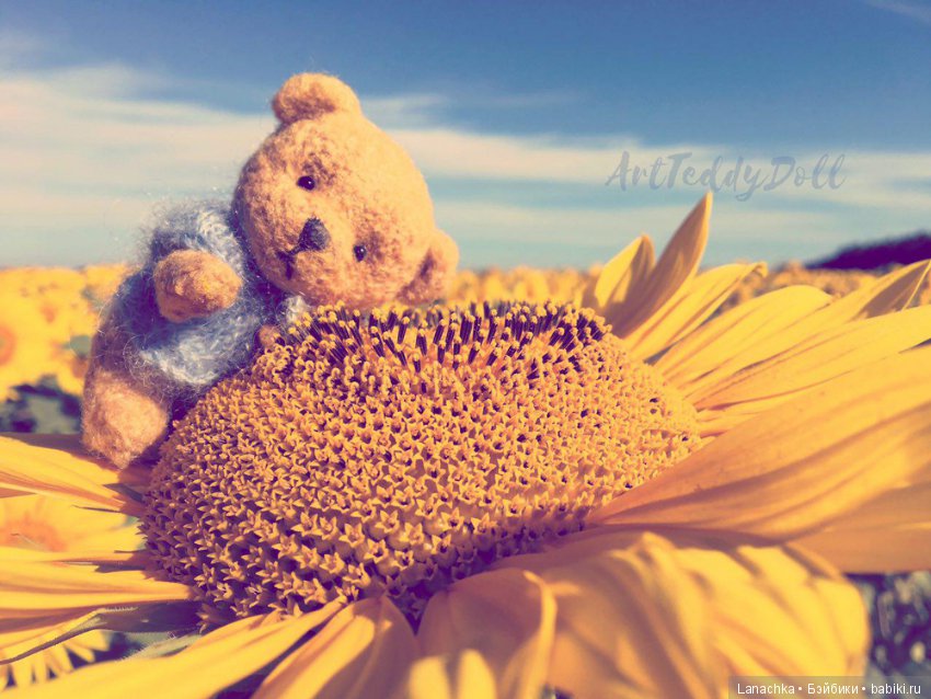 "Если бы мишки были пчелами..." )) (фото 2)