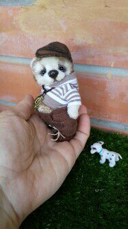 Степка - мой маленький дружок