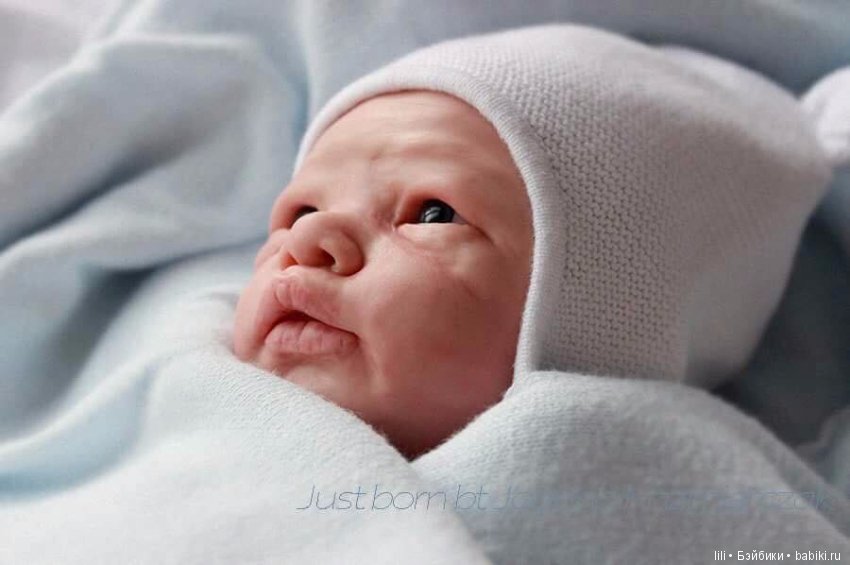 Новый малыш у скульптора Joanna Kazmierczak (фото 4)