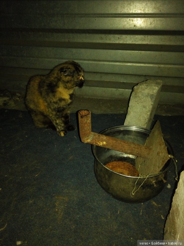 Круговой обзор кукол, игрушек своими руками (фото 4)