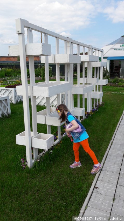 Лето... Солнце... Цветы — Болталка и разговоры обо всем: жизнь