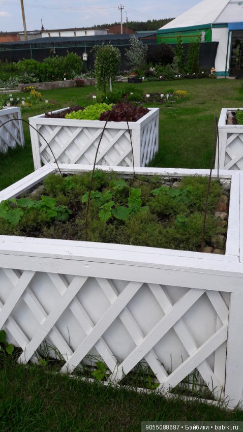 Лето... Солнце... Цветы — Болталка и разговоры обо всем: жизнь